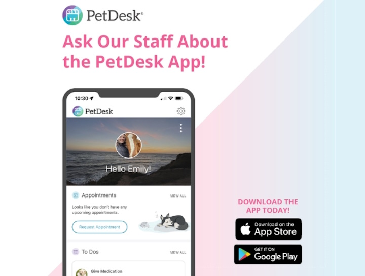 Download Our Mobile App