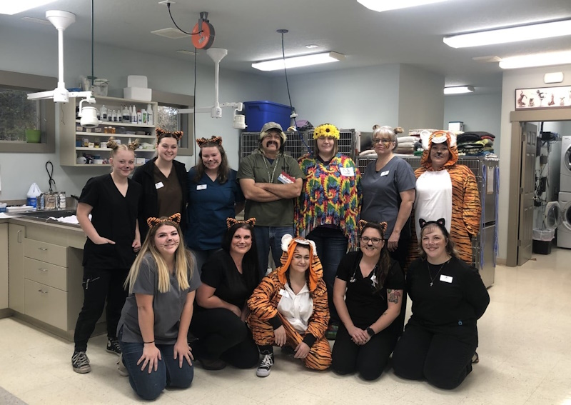 Carousel Slide 5: Meet Our Team